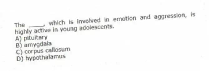 The ____, which is involved in emotion and aggression, is highly active in young adolescents.
A) pituitary
B) amygdala
C) corpus callosum
D) hypothalamus