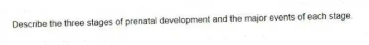 Describe the three stages of prenatal development and the major events of each stage.