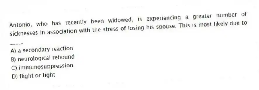 Antonio, who has recently been widowed, is experiencing a greater number of sicknesses in association with the stress of losing his spouse. This is most likely due to ____.
A) a secondary reaction
B) neurological rebound
C) immunosuppression
D) flight or fight