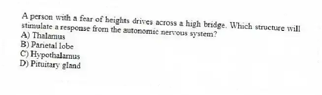 A person with a fear of heights drives across a high bridge. Which structure will stimulate a response from the autonomic nervous system?
A) Thalamus
B) Parietal lobe
C) Hypothalamus
D) Pituitary gland