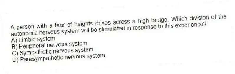 A person with a fear of heights drives across a high bridge. Which division of the autonomic nervous system will be stimulated in response to this experience?
A) Limbic system
B) Peripheral nervous system
C) Sympathetic nervous system
D) Parasympathetic nervous system