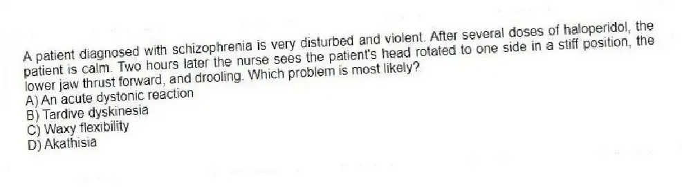 A patient diagnosed with schizophrenia is very disturbed and violent. After several doses of haloperidol, the patient is calm. Two hours later the nurse sees the patient's head rotated to one side in a stiff position, the lower jaw thrust forward, and drooling. Which problem is most likely?
A) An acute dystonic reaction
B) Tardive dyskinesia
C) Waxy flexibility
D) Akathisia