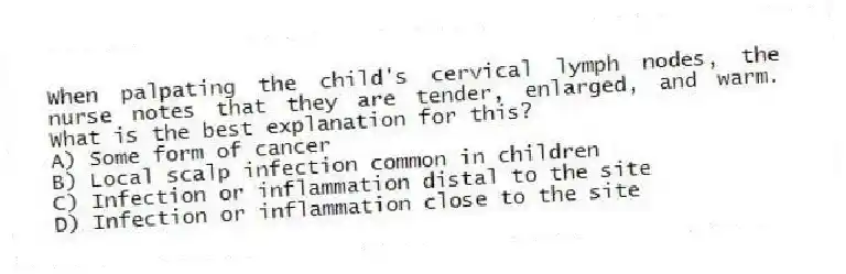When palpating the child's cervical lymph nodes, the nurse notes that they are tender, enlarged, and warm. What is the best explanation for this?
A) Some form of cancer
B) Local scalp infection common in children
C) Infection or inflammation distal to the site
D) Infection or inflammation close to the site
