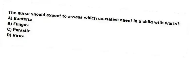 The nurse should expect to assess which causative agent in a child with warts?
A) Bacteria
B) Fungus
C) Parasite
D) Virus