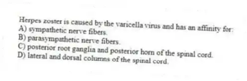 Herpes zoster is caused by the varicella virus and has an affinity for:
A) sympathetic nerve fibers.
B) parasympathetic nerve fibers.
C) posterior root ganglia and posterior horn of the spinal cord.
D) lateral and dorsal columns of the spinal cord.