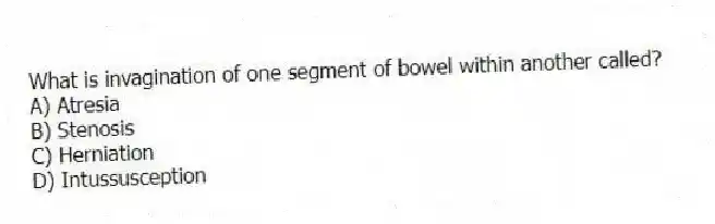 What is invagination of one segment of bowel within another called?
A) Atresia
B) Stenosis
C) Herniation
D) Intussusception