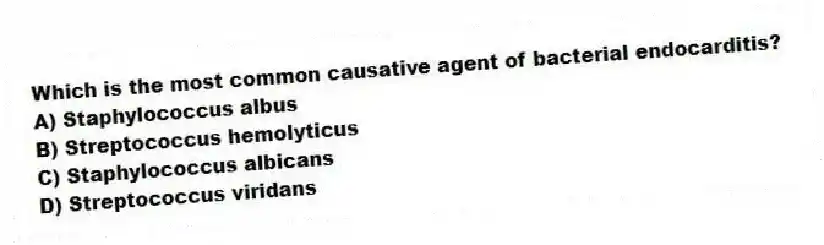 Which is the most common causative agent of bacterial endocarditis?
A) Staphylococcus albus
B) Streptococcus hemolyticus
C) Staphylococcus albicans
D) Streptococcus viridans