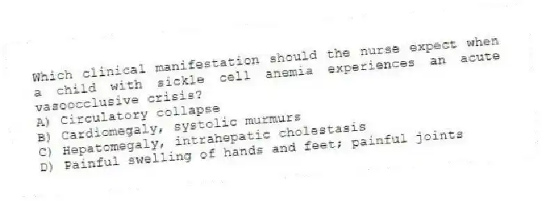 Which clinical manifestation should the nurse expect when a child with sickle cell anemia experiences an acute vasoocclusive crisis?
A) Circulatory collapse
B) Cardiomegaly, systolic murmurs
C) Hepatomegaly, intrahepatic cholestasis
D) Painful swelling of hands and feet; painful joints