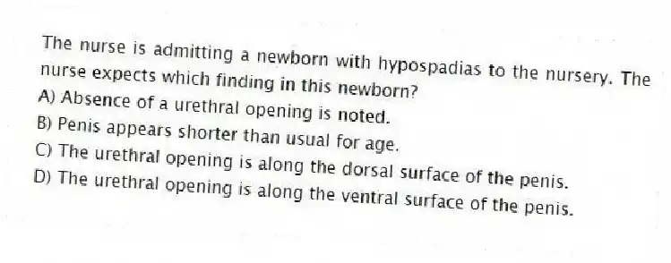 The nurse is admitting a newborn with hypospadias to the nursery. The nurse expects which finding in this newborn?
A) Absence of a urethral opening is noted.
B) Penis appears shorter than usual for age.
C) The urethral opening is along the dorsal surface of the penis.
D) The urethral opening is along the ventral surface of the penis.