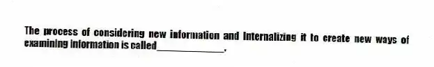 The process of considering new information and internalizing it to create new ways of examining information is called____________.