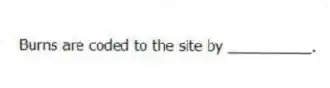 Burns are coded to the site by __________.
