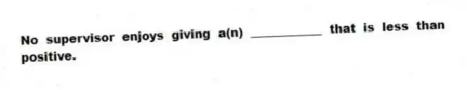 No supervisor enjoys giving a(n) ____________ that is less than positive.
