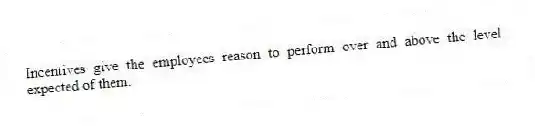 Incentives give the employees reason to perform over and above the level expected of them.