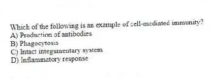 Which of the following is an example of cell-mediated immunity?
A) Production of antibodies
B) Phagocytosis
C) Intact integumentary system
D) Inflammatory response