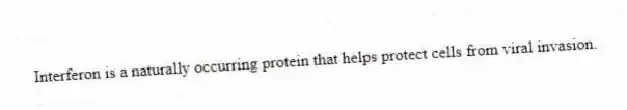 Interferon is a naturally occurring protein that helps protect cells from viral invasion.