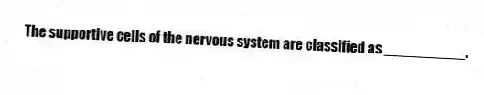 The supportive cells of the nervous system are classified as __________.