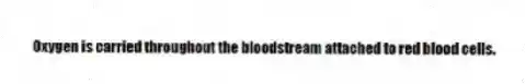Oxygen is carried throughout the bloodstream attached to red blood cells.