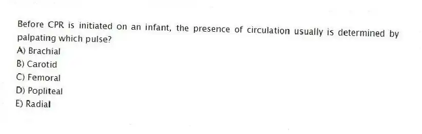 Before CPR is initiated on an infant, the presence of circulation usually is determined by palpating which pulse?
A) Brachial
B) Carotid
C) Femoral
D) Popliteal
E) Radial