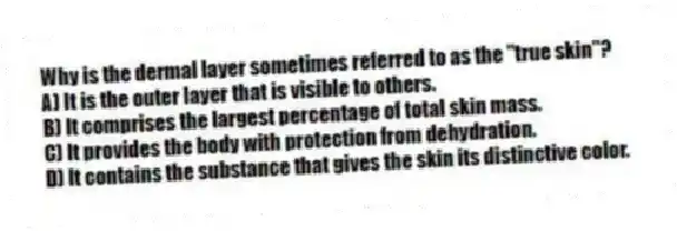 Why is the dermal layer sometimes referred to as the "true skin"?
A) It is the outer layer that is visible to others.
B) It comprises the largest percentage of total skin mass.
C) It provides the body with protection from dehydration.
D) It contains the substance that gives the skin its distinctive color.