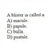 A blister is called a
A) macule.
B) papule.
C) bulla.
D) pustule.