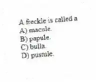 A freckle is called a
A) macule.
B) papule.
C) bulla.
D) pustule.