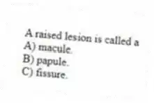 A raised lesion is called a
A) macule.
B) papule.
C) fissure.