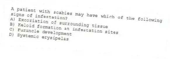 A patient with scabies may have which of the following signs of infestation?
A) Excoriation of surrounding tissue
B) Keloid formation at infestation sites
C) Furuncle development
D) Systemic erysipelas