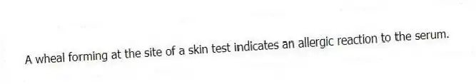 A wheal forming at the site of a skin test indicates an allergic reaction to the serum.