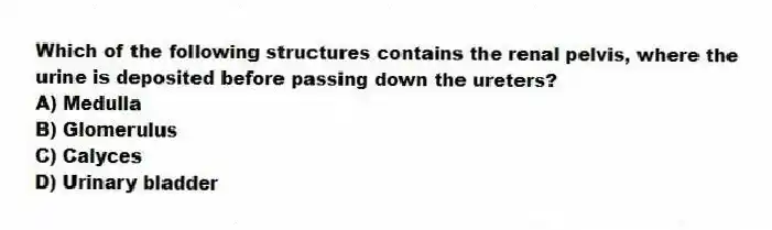 Which of the following structures contains the renal pelvis, where the urine is deposited before passing down the ureters?
A) Medulla
B) Glomerulus
C) Calyces
D) Urinary bladder