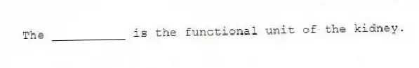 The __________ is the functional unit of the kidney.