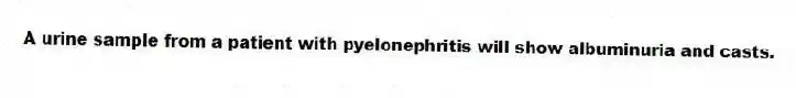 A urine sample from a patient with pyelonephritis will show albuminuria and casts.