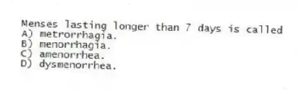 Menses lasting longer than 7 days is called
A) metrorrhagia.
B) menorrhagia.
C) amenorrhea.
D) dysmenorrhea.