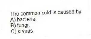 The common cold is caused by
A) bacteria.
B) fungi.
C) a virus.