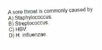 A sore throat is commonly caused by
A) Staphylococcus.
B) Streptococcus.
C) HBV.
D) H. influenzae.
