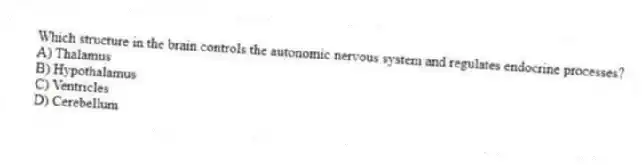 Which structure in the brain controls the autonomic nervous system and regulates endocrine processes?
A) Thalamus
B) Hypothalamus
C) Ventricles
D) Cerebellum