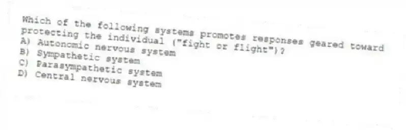 Which of the following systems promotes responses geared toward protecting the individual ("fight or flight")?
A) Autonomic nervous system
B) Sympathetic system
C) Parasympathetic system
D) Central nervous system