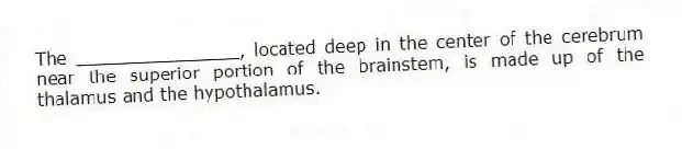 The _______________, located deep in the center of the cerebrum near the superior portion of the brainstem, is made up of the thalamus and the hypothalamus.