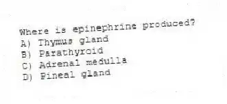 Where is epinephrine produced?
A) Thymus gland
B) Parathyroid
C) Adrenal medulla
D) Pineal gland