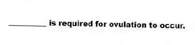 __________ is required for ovulation to occur.