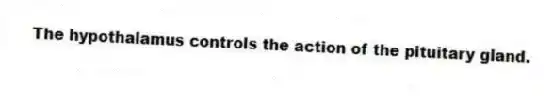 The hypothalamus controls the action of the pituitary gland.