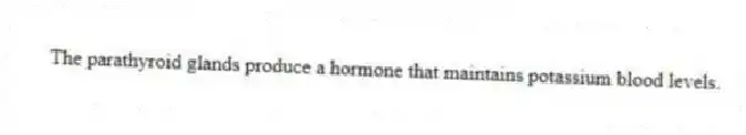 The parathyroid glands produce a hormone that maintains potassium blood levels.