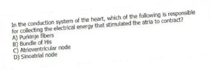 In the conduction system of the heart, which of the following is responsible for collecting the electrical energy that stimulated the atria to contract?
A) Purkinje fibers
B) Bundle of His
C) Atrioventricular node
D) Sinoatrial node