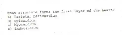 What structure forms the first layer of the heart?
A) Parietal pericardium
B) Epicardium
C) Myocardium
D) Endocardium