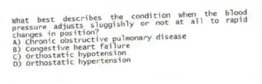 What best describes the condition when the blood pressure adjusts sluggishly or not at all to rapid changes in position?
A) Chronic obstructive pulmonary disease
B) Congestive heart failure
C) Orthostatic hypotension
D) Orthostatic hypertension