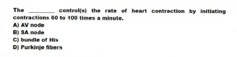 The __________ control(s) the rate of heart contraction by initiating contractions 60 to 100 times a minute.
A) AV node
B) SA node
C) bundle of His
D) Purkinje fibers