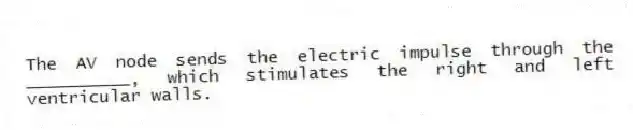 The AV node sends the electric impulse through the __________, which stimulates the right and left ventricular walls.
