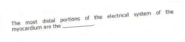 The most distal portions of the electrical system of the myocardium are the __________.