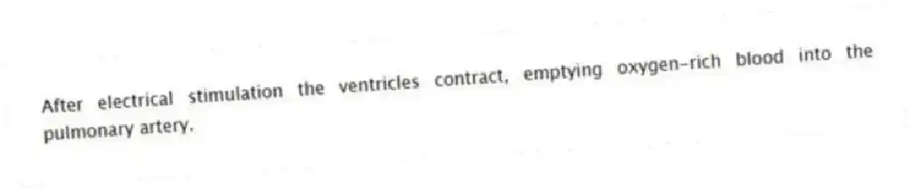 After electrical stimulation the ventricles contract, emptying oxygen-rich blood into the pulmonary artery.