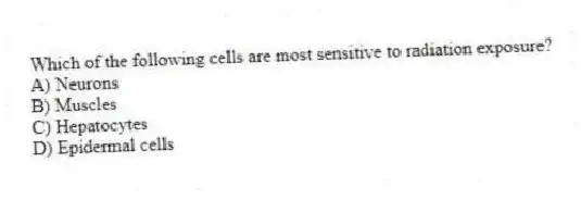 Which of the following cells are most sensitive to radiation exposure?
A) Neurons
B) Muscles
C) Hepatocytes
D) Epidermal cells