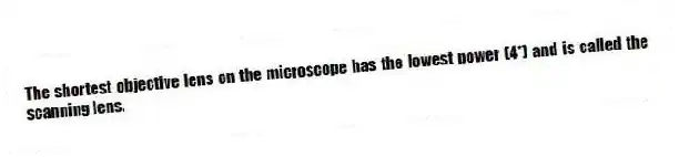 The shortest objective lens on the microscope has the lowest power (4*) and is called the scanning lens.